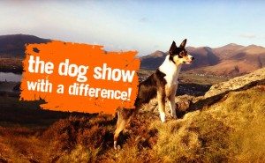 Keswick Scruffs Dog Show at Keswick Midsummer Festival