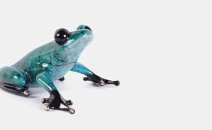Frogman Cedar 2019 UK Spring Frog